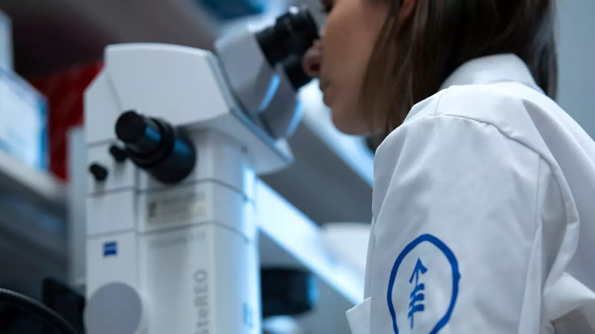 An MSK research associate uses a stereomicroscope 